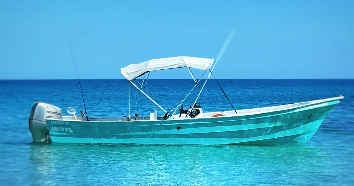 Panini Fishing Charters